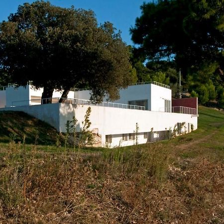 Villa Zagare Mattinata Dış mekan fotoğraf