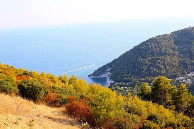 Villa Zagare Mattinata Dış mekan fotoğraf